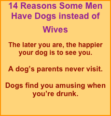 14 Reasons Some Men Have Dogs instead of Wives 

The later you are, the happier your dog is to see you.

A dog’s parents never visit.

Dogs find you amusing when you’re drunk.

